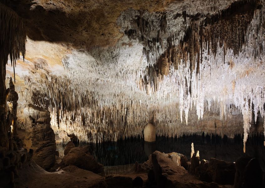 blog marsenses blog marsenses