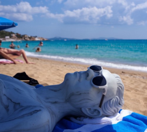 oferta early booking marsenses oferta early booking marsenses