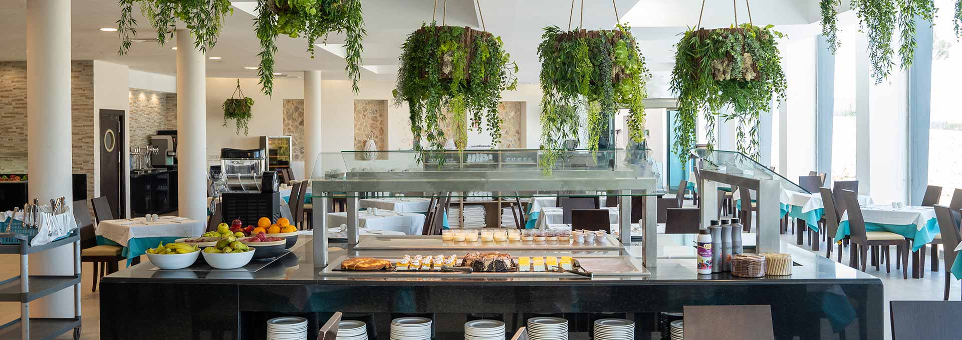 experiencia todo incluido marsenses hotels & homes